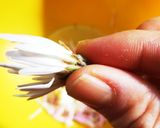 ＊かきのもとの米油ドレッシング和え＊作り方2写真