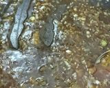絶品‼サケの揚げ香味だれ作り方5写真