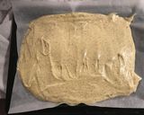 米粉とココナッツホイップのロールケーキ作り方7写真