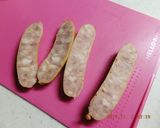 ※お弁当に※大葉チーズウィンナーの春巻き作り方1写真