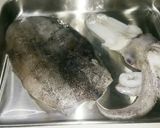 アオリイカの刺身。ミミ、ゲソはボイルで。作り方2写真