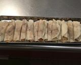 【駄作注意】オニオンGYOZA作り方5写真