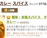 簡単・本格スパイス　インドのチキンカレー作り方22写真