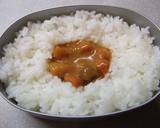 カレー入り☆自由に♪お絵描き弁当作り方2写真