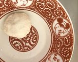 白玉トマト作り方5写真