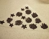 クリスマスにも♪簡単ミルクプリン作り方14写真