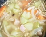 ハヤトウリのスープ作り方6写真