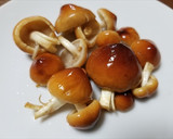 3種の天然キノコのなべ焼きうどん・その１作り方3写真