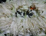 ブラボー…炊き肉作り方5写真