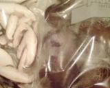 ご飯の美味しい冷凍保存法作り方23写真