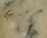 蓮根と生姜のすり流し汁　咳の特効薬！？作り方6写真