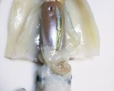 スルメイカDE手作り柔らか一夜干し♪作り方2写真