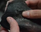 鮫の煮こごり作り方2写真