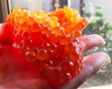 簡単☆いくら醤油漬け作り方1写真