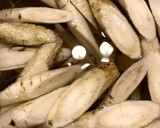 焼いて煮て旨味がギュ！鶏ももごぼう煮作り方1写真