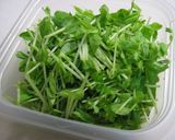 安くて簡単♪芳ばしシャキシャキ豆苗♪作り方1写真