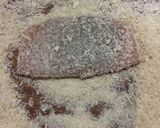 チーズと大葉のささみフライ お弁当にも！作り方7写真