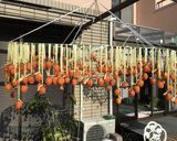 干し柿のワイン漬け作り方2写真