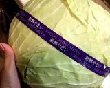 ビーフシチュー風★ロールキャベツ作り方1写真