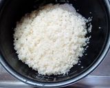 雑。コストコチキンのカオマンガイ風作り方1写真