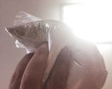 紅茶香る手作りポリ食パンのトマトトースト作り方3写真