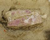 豚ブロック肉のぬか漬け作り方1写真