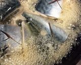 鯖の味噌煮作り方3写真