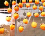 おじいちゃん秘伝♪干し柿の作り方♪作り方13写真