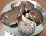 ヒラタケと3種の海藻の焼きキノコ作り方1写真