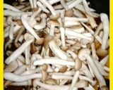 ★キノコと鶏肉の炊き込みご飯★作り方18写真