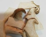 タコキムチでエリンギガチソース炒め作り方3写真