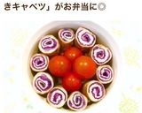 お弁当に♪切り口が可愛い肉巻きキャベツ作り方16写真