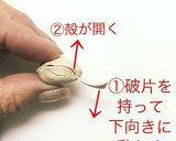 「割れ目がないピスタチオ」の割り方作り方8写真