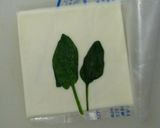 《キャラ弁》発表会応援～♪大きなかぶ弁当作り方5写真