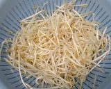 超簡単！ひき肉ともやしのソース焼きそば作り方1写真