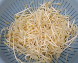 超簡単！ひき肉ともやしのソース焼きそば作り方1写真