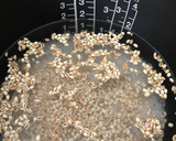 炒りもち麦で新食感！もち麦ご飯♪作り方3写真
