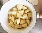 ドイツ人ママ直伝ポテトサラダ作り方1写真