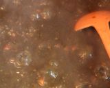 簡単美味しい油不要な南瓜キーマカレー作り方8写真