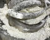 骨ごと美味!メギス(二ギス)の南蛮漬け作り方5写真