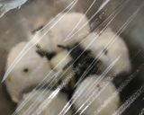 簡単♡里芋茹でて塩昆布和えてだけ煮物〜？作り方2写真