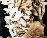 きのことコンニャクの煮物作り方3写真