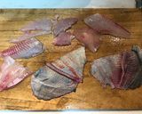 ツバメウオお造り作り方4写真