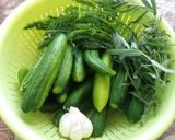 イラン料理 ヒヤルシュール(ピクルス)作り方2写真