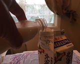 材料をただ混ぜればできる＊簡単ヨーグルト作り方4写真