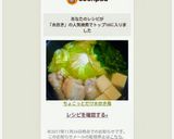 ちょこっとだけ水炊き風作り方6写真