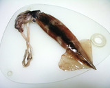 *いかのぬた（酢味噌和え）柚子胡椒風味*作り方1写真
