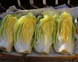 自家製★白菜キムチ✩1株分作り方2写真