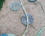 まるまる1本！サトウキビで煮物作り方1写真