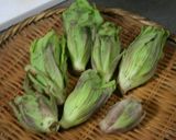 ふきのとう味噌♪作り方1写真